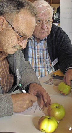 Fachleute des Pomologen Vereins bestimmten alte Apfelsorten beim Streuobsttag in Weil am Rhein-Märkt in der Altrheinhalle. | Foto: Jutta Schütz